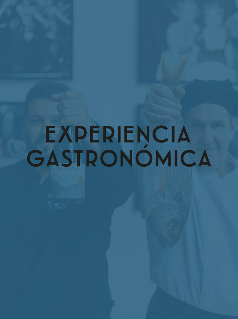 experiencia gastronómica experiencia gastronómica