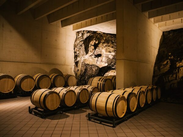 BODEGA DESCENDIENTES J.PALACIOS